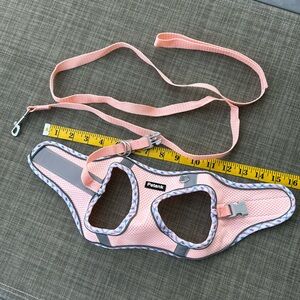 Puppy harness and matching leash